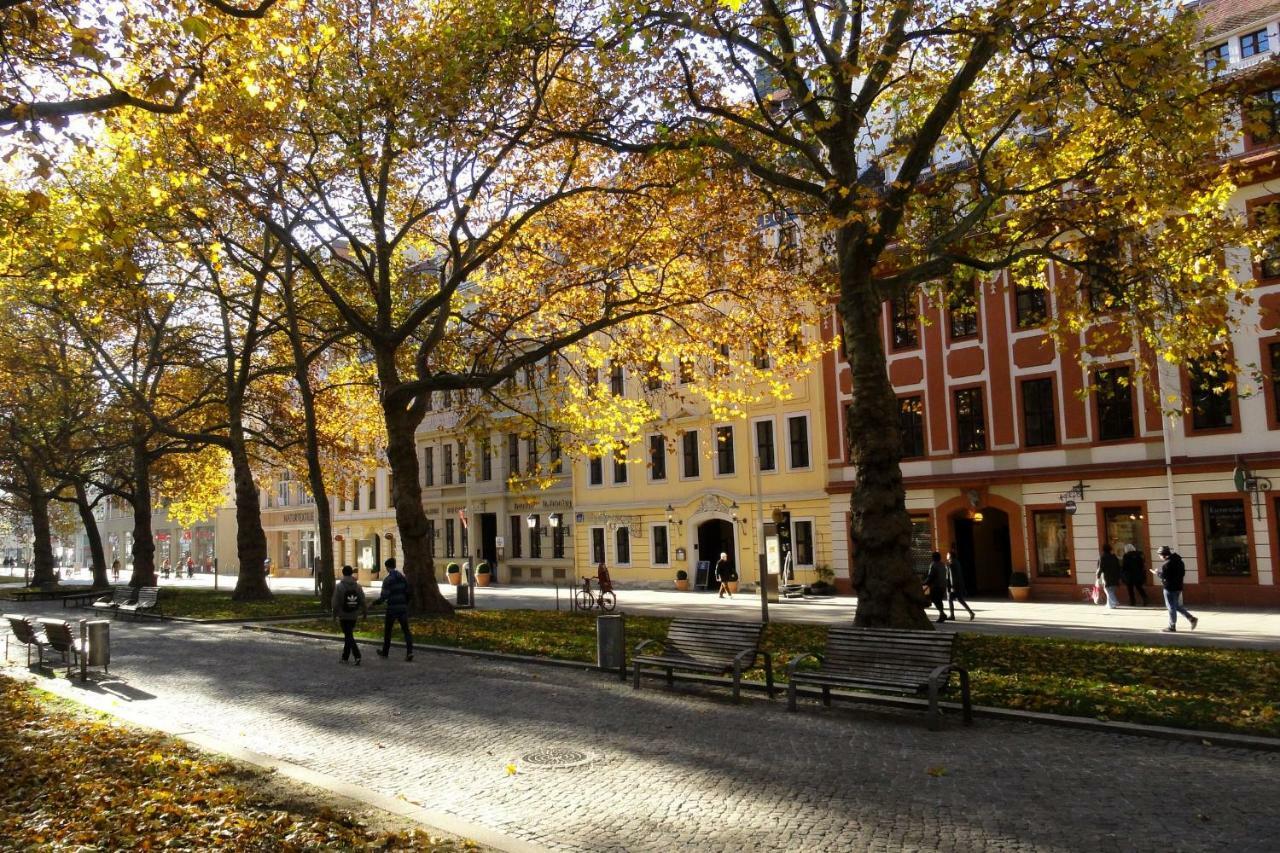 Fewo Canaletto Im Stadtzentrum Дрезден Екстериор снимка